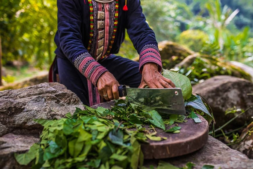 Traditions Herbales Vietnamiennes