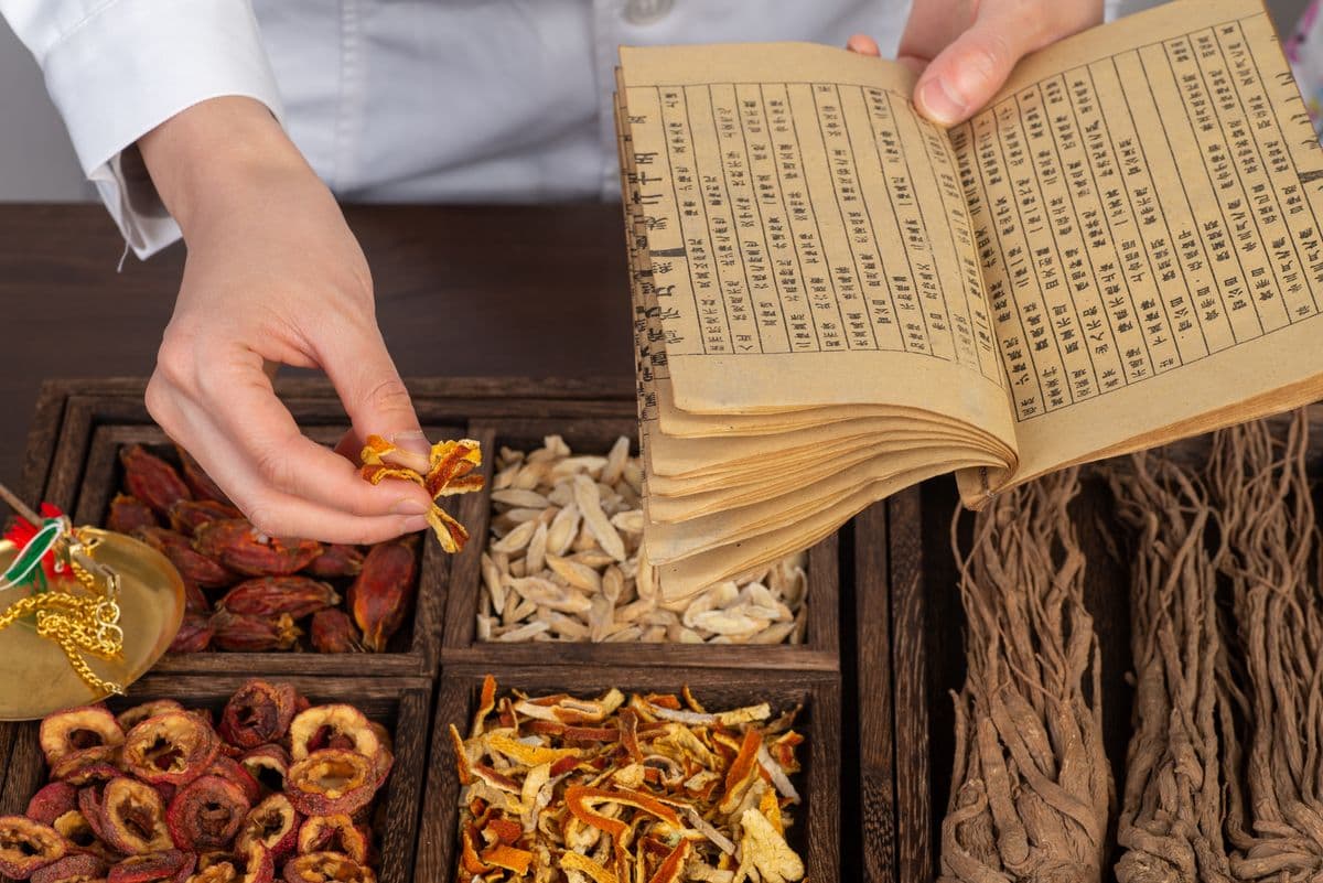 Médecine Traditionnelle