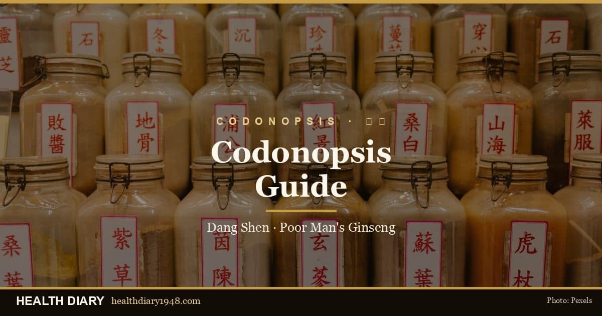 Codonopsis (Dang Shen) Guide: Poor Man’s Ginseng, Uses & Soups