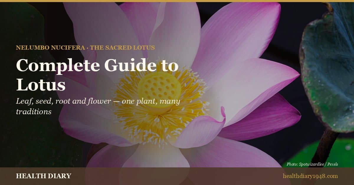 Complete Guide to Lotus: The Sacred Plant of Asian Tradition