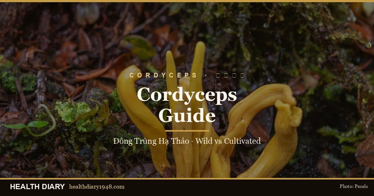 Cordyceps (Đông Trùng Hạ Thảo) Guide: Wild vs Cultivated & Cordycepin