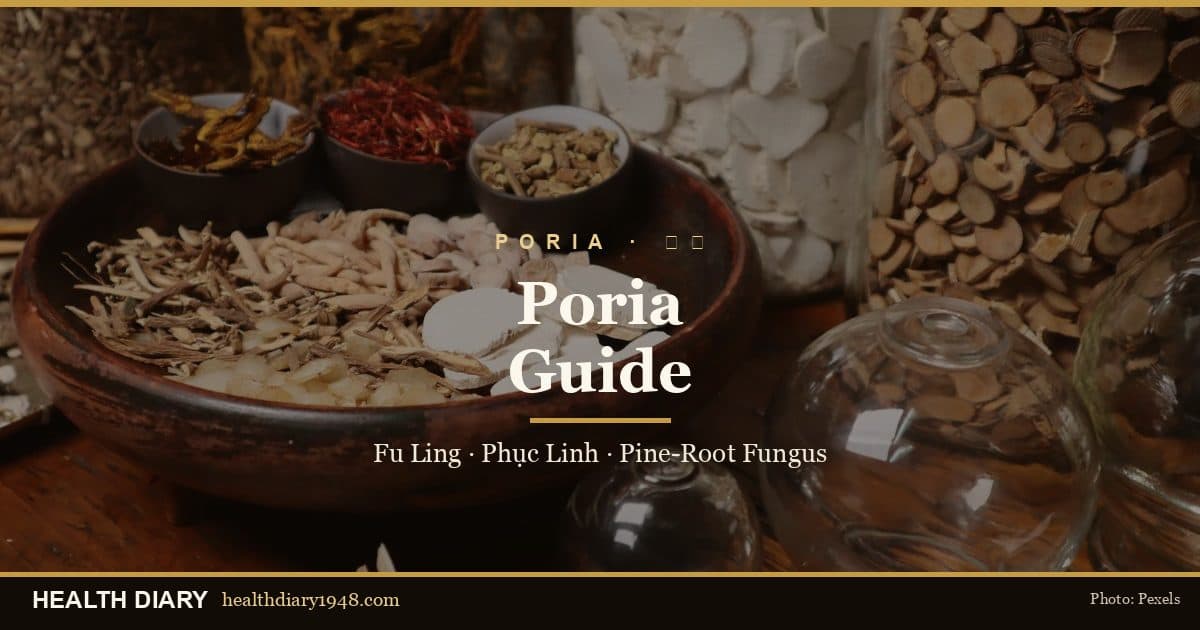 Poria (Fu Ling / Phục Linh) Guide: The Pine-Root Fungus & Its Four Grades